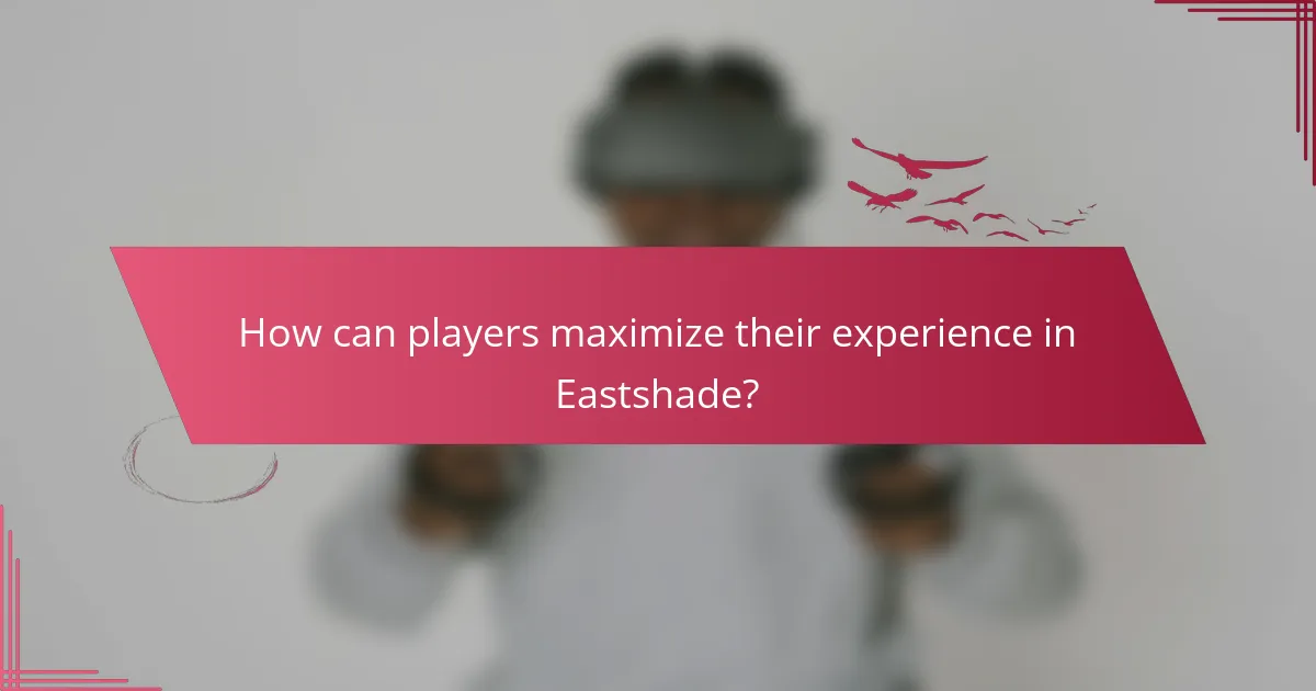 How can players maximize their experience in Eastshade?